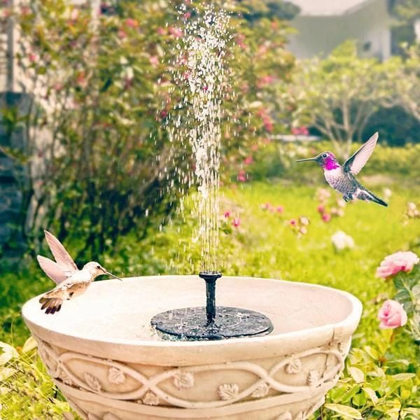Promotion exceptionnelle -50% Fontaines solaires pour oiseaux
