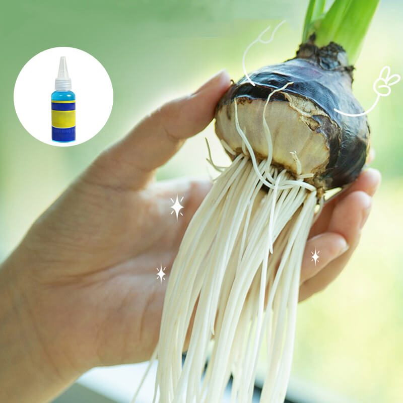 Solution nutritive universelle pour plantes en pot fleuries Des racines solides, des fleurs clatantes La croissance parfaite, sans prise de tte.