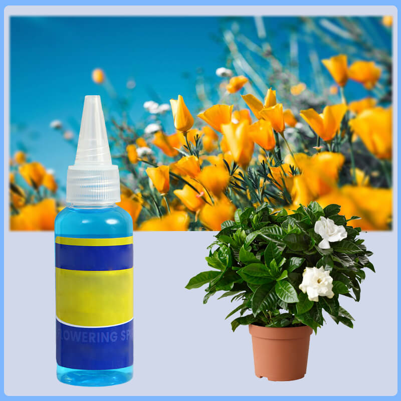 Solution nutritive universelle pour plantes en pot fleuries Des racines solides, des fleurs clatantes La croissance parfaite, sans prise de tte.