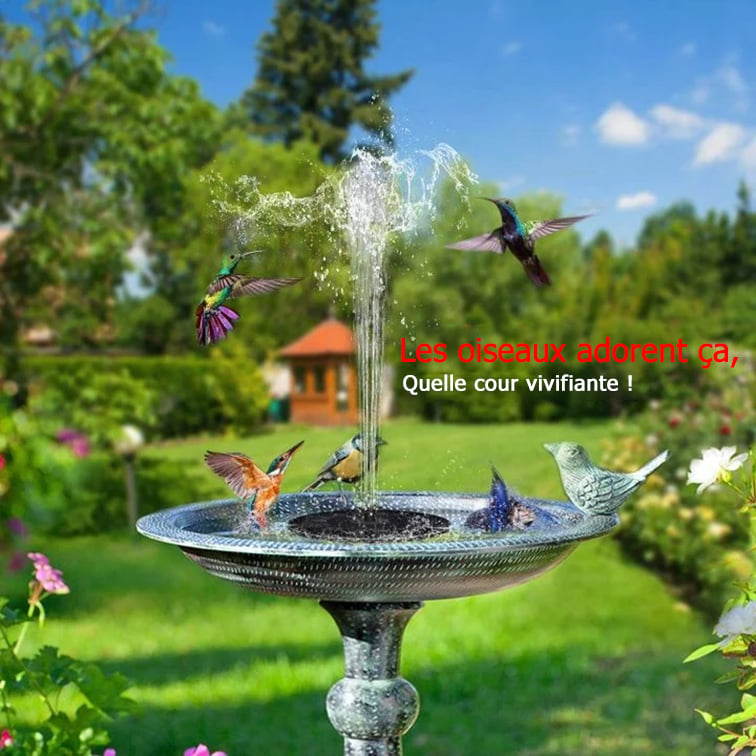 Promotion exceptionnelle -50% Fontaines solaires pour oiseaux