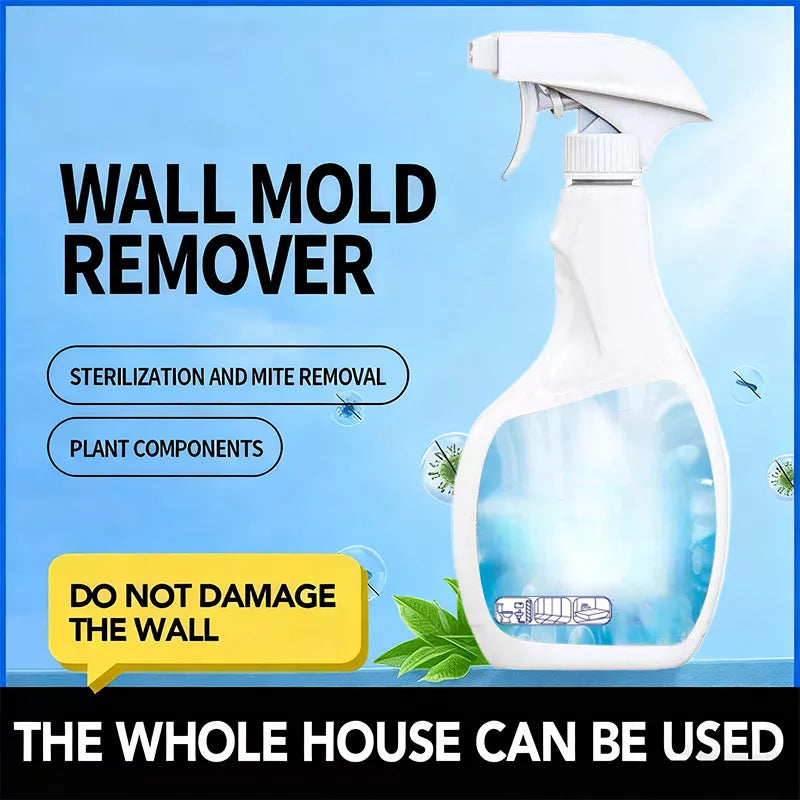 Hocheffektives Anti-Schimmel-Spray - Verhindert die Neubildung von Schimmel