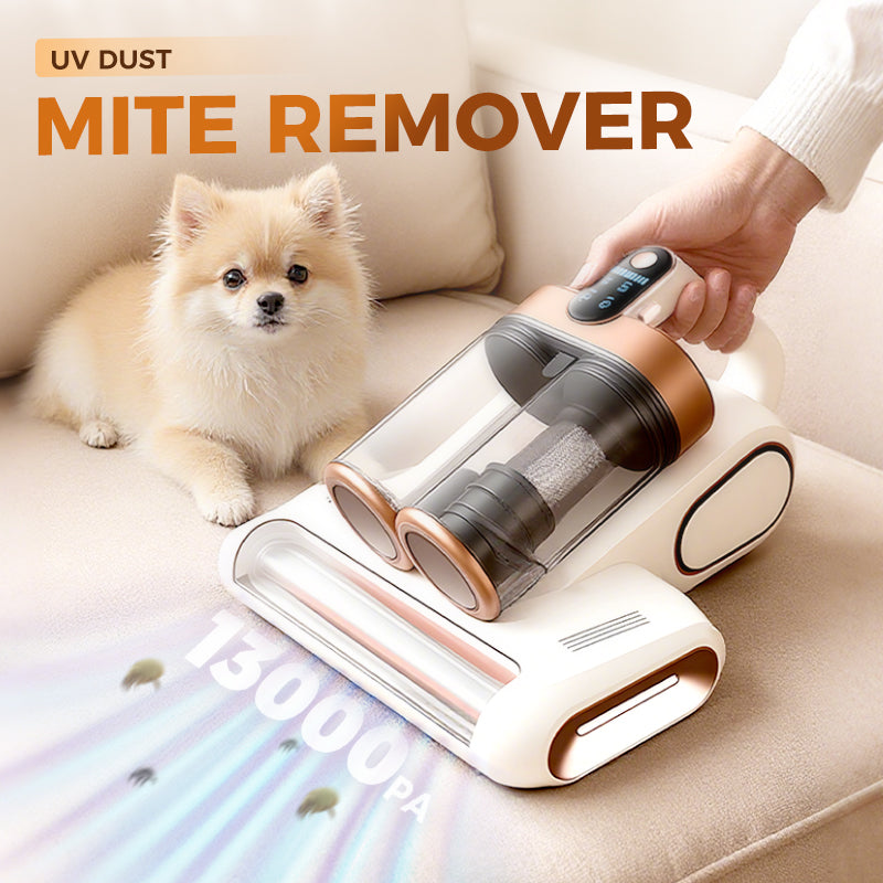 Offre spciale dure limite Aspirateur pour matelas pour liminer les acariens [Livraison gratuit FR]