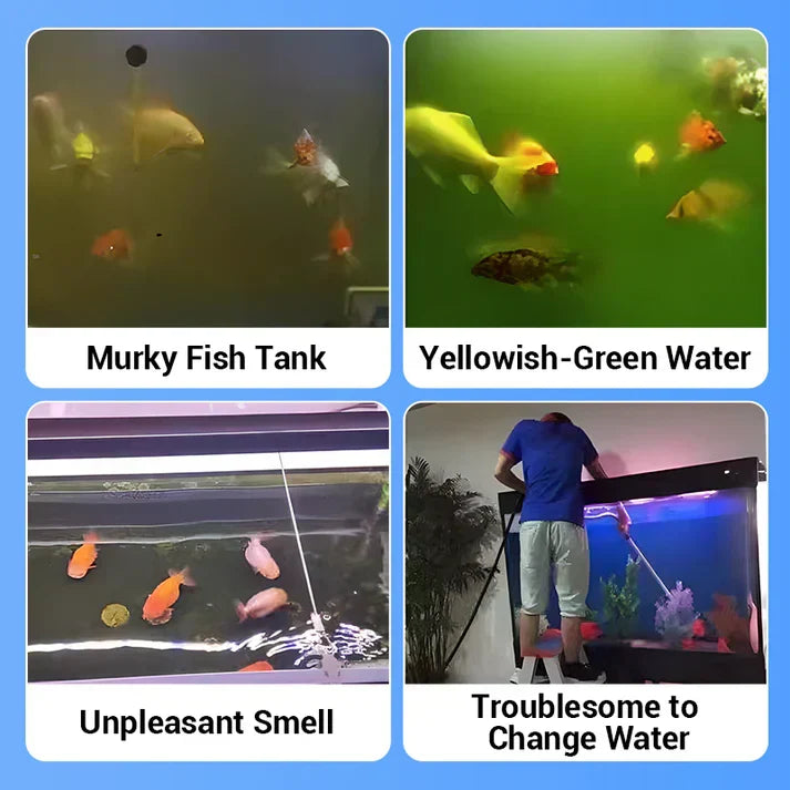 Comprim puissant de purification de l'eau d'aquarium