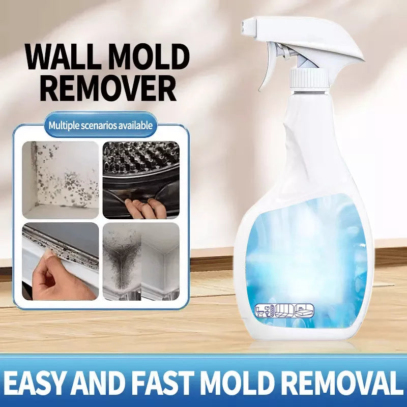 Hocheffektives Anti-Schimmel-Spray - Verhindert die Neubildung von Schimmel
