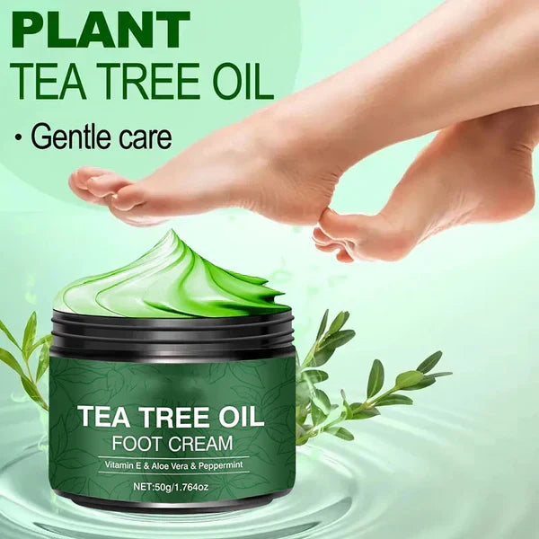 OFFRE SPCIALE 2026 Plus de 50 000 units vendues Crme hydratante pour pieds laloe vera et larbre th, Version fran?aise optimise