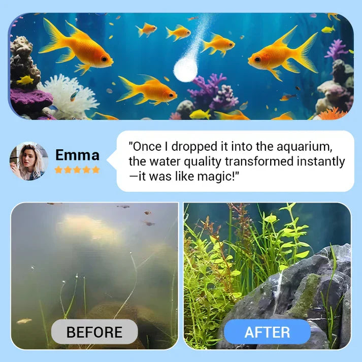 Comprim puissant de purification de l'eau d'aquarium