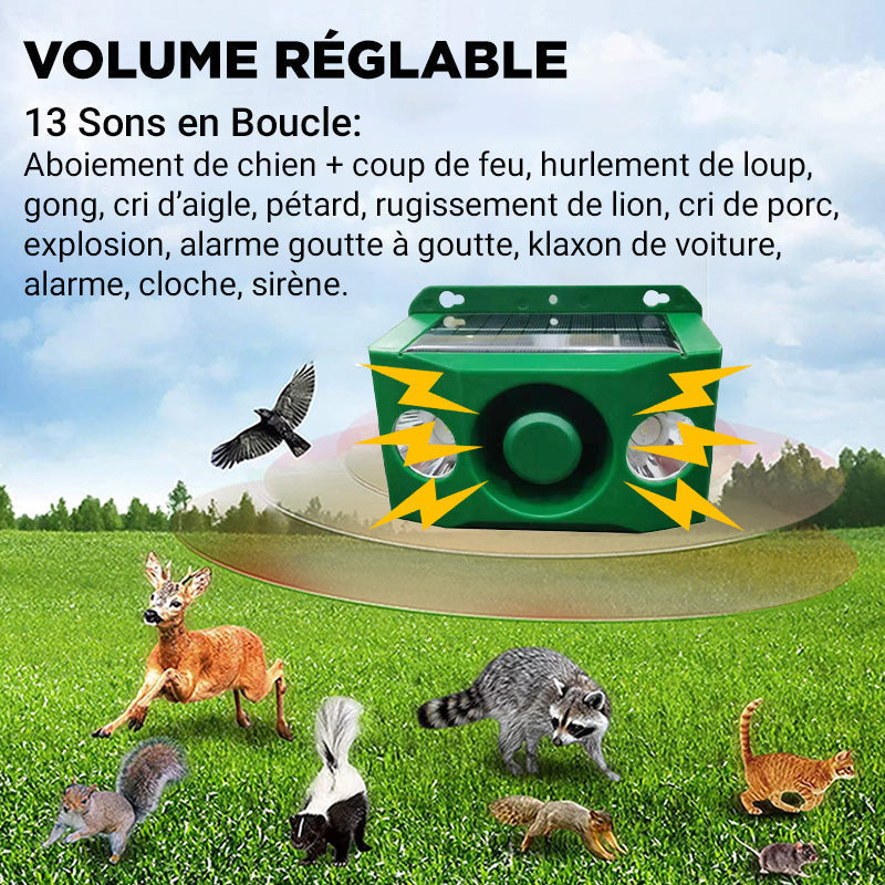Lampe d'avertissement solaire anti - bte avec volume lev