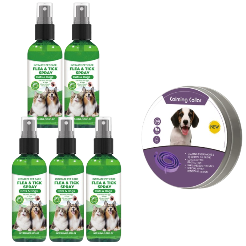 Spray naturel anti-puces et anti-tiques pour chiens et chats Protgez votre animal de compagnie bien-aim contre les parasites
