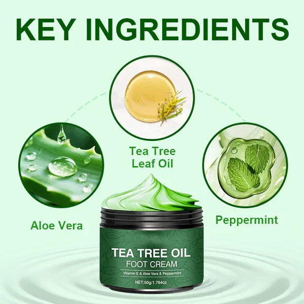 SONDERANGEBOT 2026 Über 50.000 verkaufte Einheiten Feuchtigkeitsspendende Fußcreme mit Aloe Vera und Teebaumöl, Optimierte deutsche Version