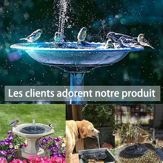 Promotion exceptionnelle -50% Fontaines solaires pour oiseaux