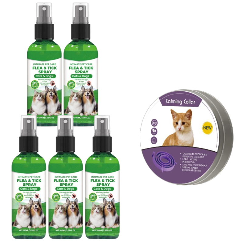Spray naturel anti-puces et anti-tiques pour chiens et chats Protgez votre animal de compagnie bien-aim contre les parasites