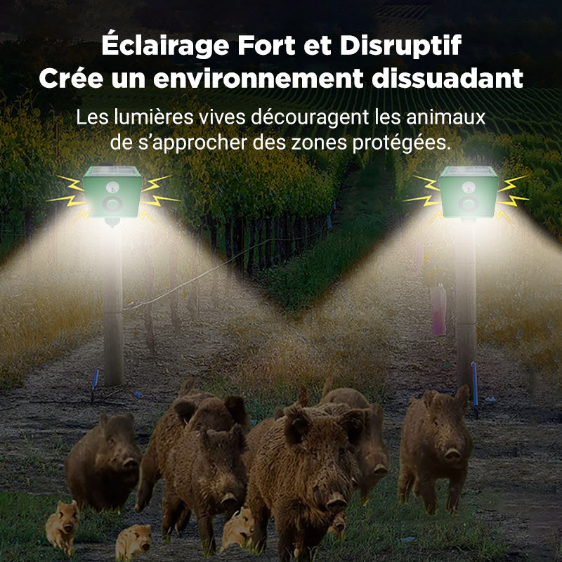 Lampe d'avertissement solaire anti - bte avec volume lev