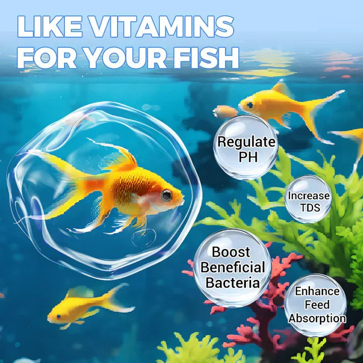 Comprim puissant de purification de l'eau d'aquarium