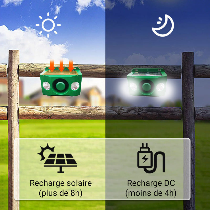 Lampe d'avertissement solaire anti - bte avec volume lev