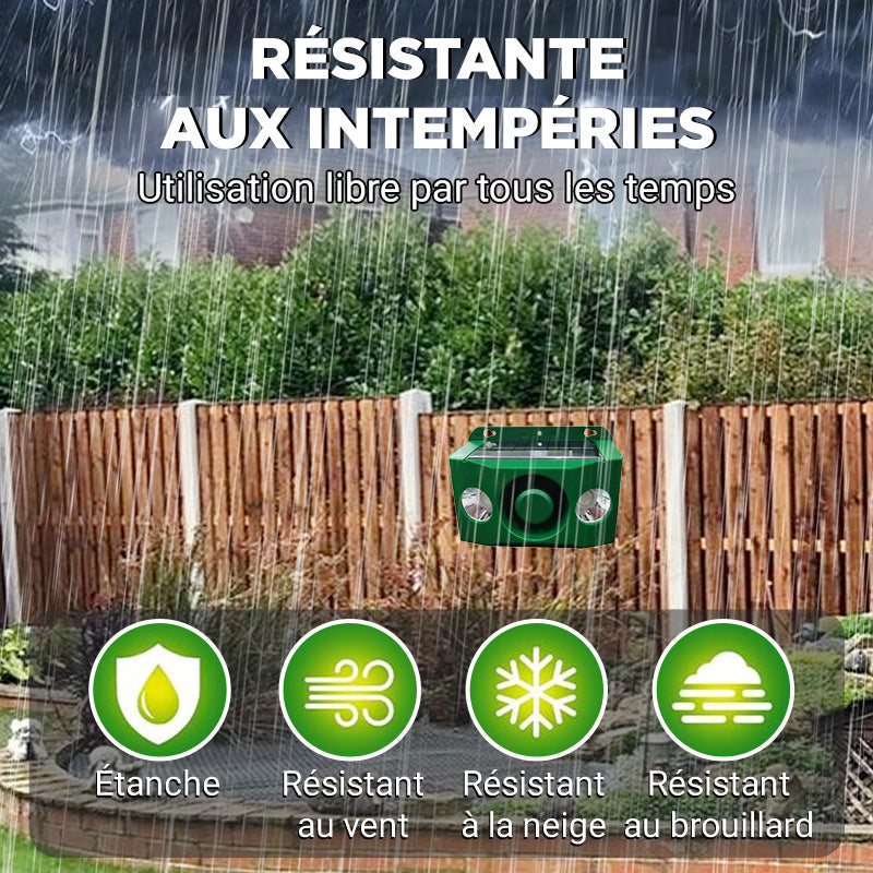 Lampe d'avertissement solaire anti - bte avec volume lev