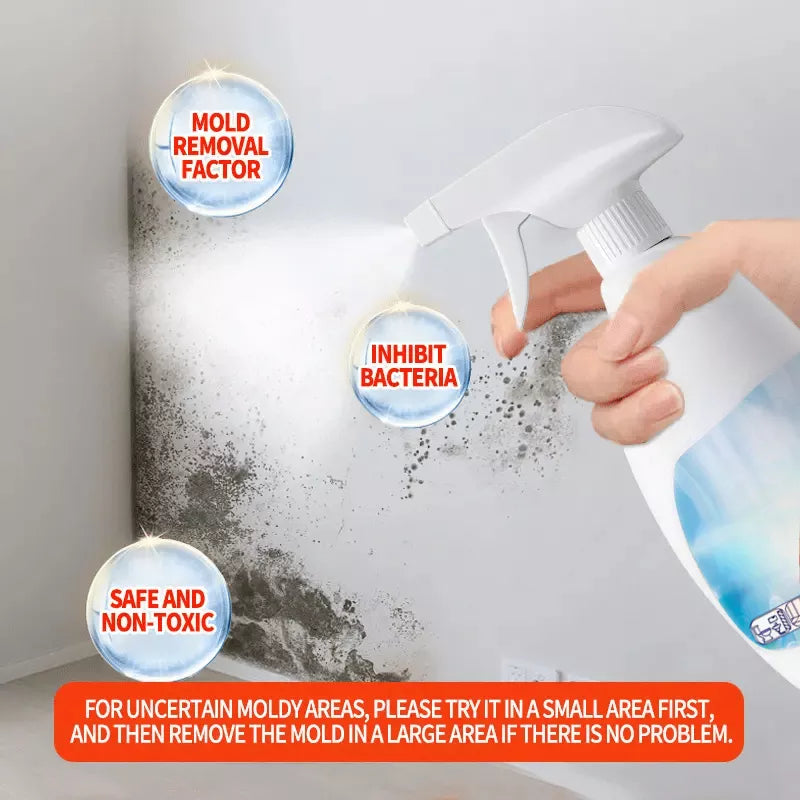 Hocheffektives Anti-Schimmel-Spray - Verhindert die Neubildung von Schimmel