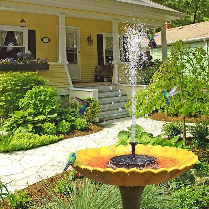 Promotion exceptionnelle -50% Fontaines solaires pour oiseaux