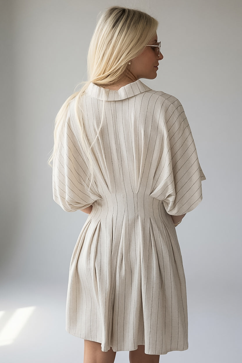 Natural Stripe Collared Button Front Mini Dress
