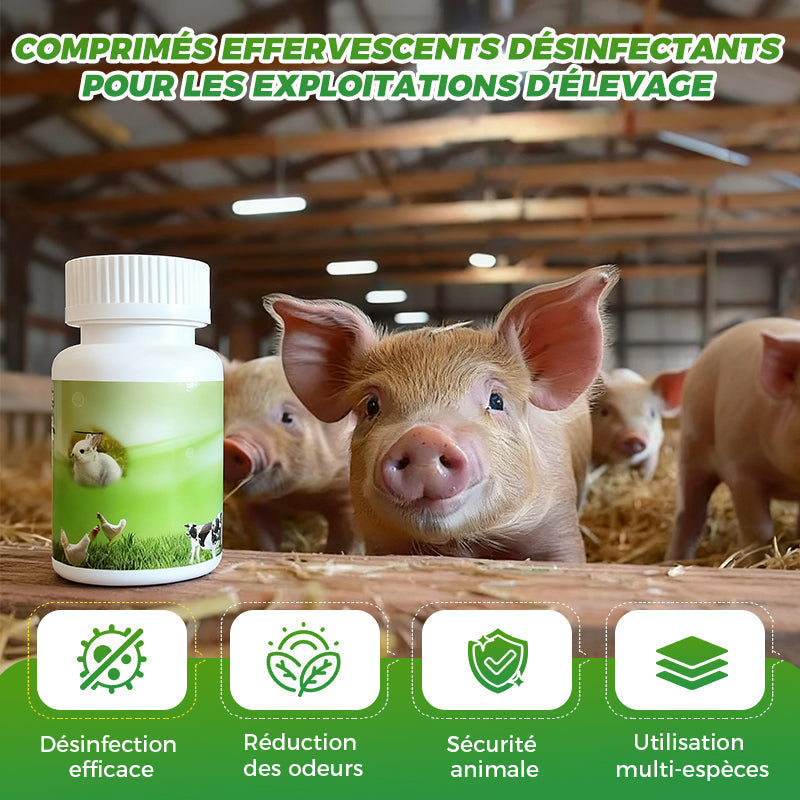 Comprims effervescents dsinfectants pour les exploitations d'levage