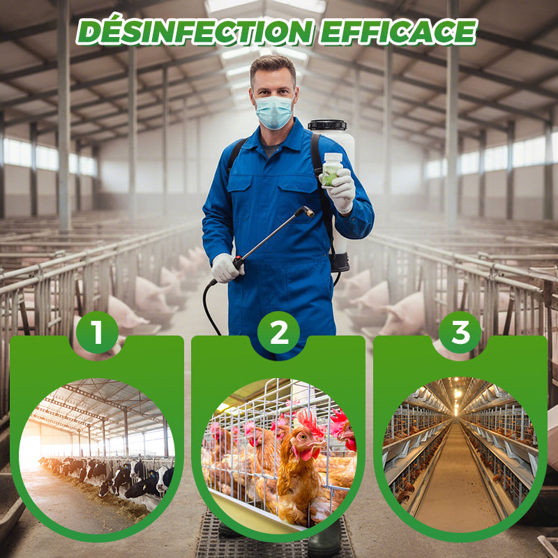 Comprims effervescents dsinfectants pour les exploitations d'levage