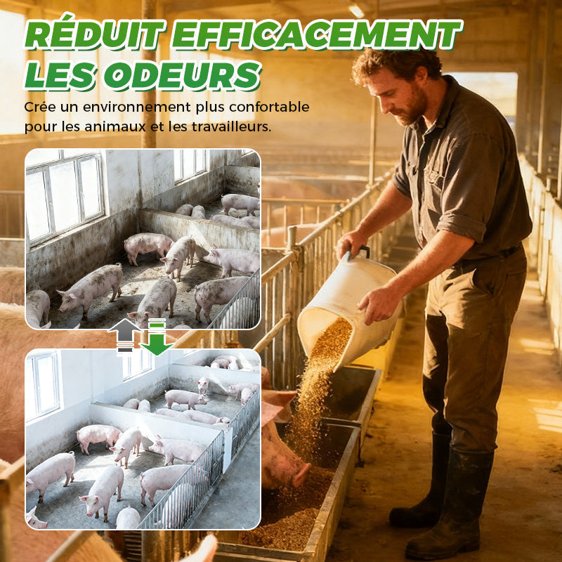 Comprims effervescents dsinfectants pour les exploitations d'levage