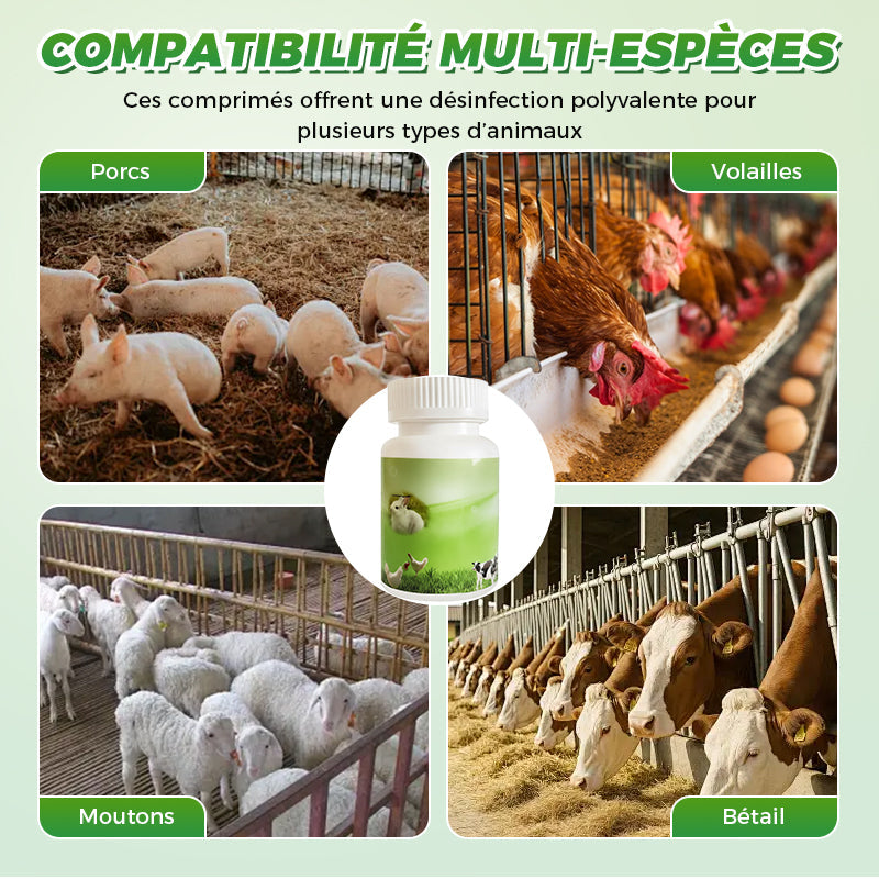 Comprims effervescents dsinfectants pour les exploitations d'levage
