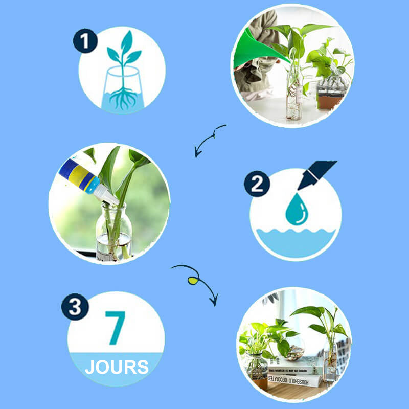 Solution nutritive universelle pour plantes en pot fleuries Des racines solides, des fleurs clatantes La croissance parfaite, sans prise de tte.