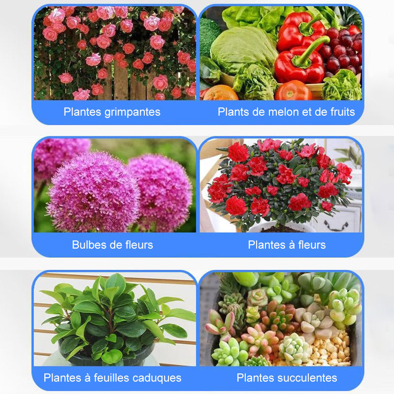 Solution nutritive universelle pour plantes en pot fleuries Des racines solides, des fleurs clatantes La croissance parfaite, sans prise de tte.