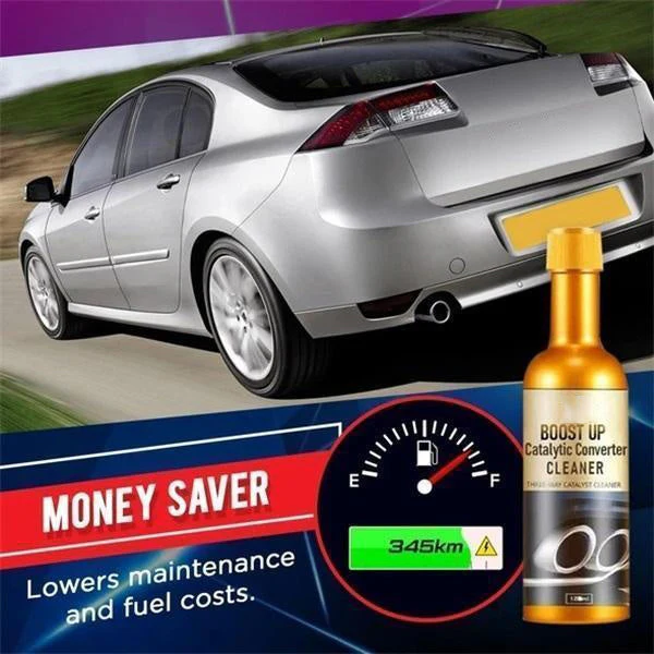Catalytic converter cleaner