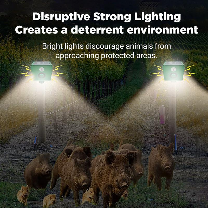 Lampe d'avertissement solaire anti - bte avec volume lev