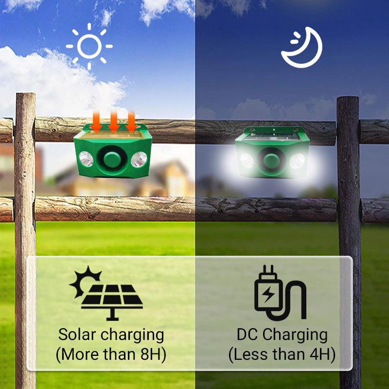 Lampe d'avertissement solaire anti - bte avec volume lev
