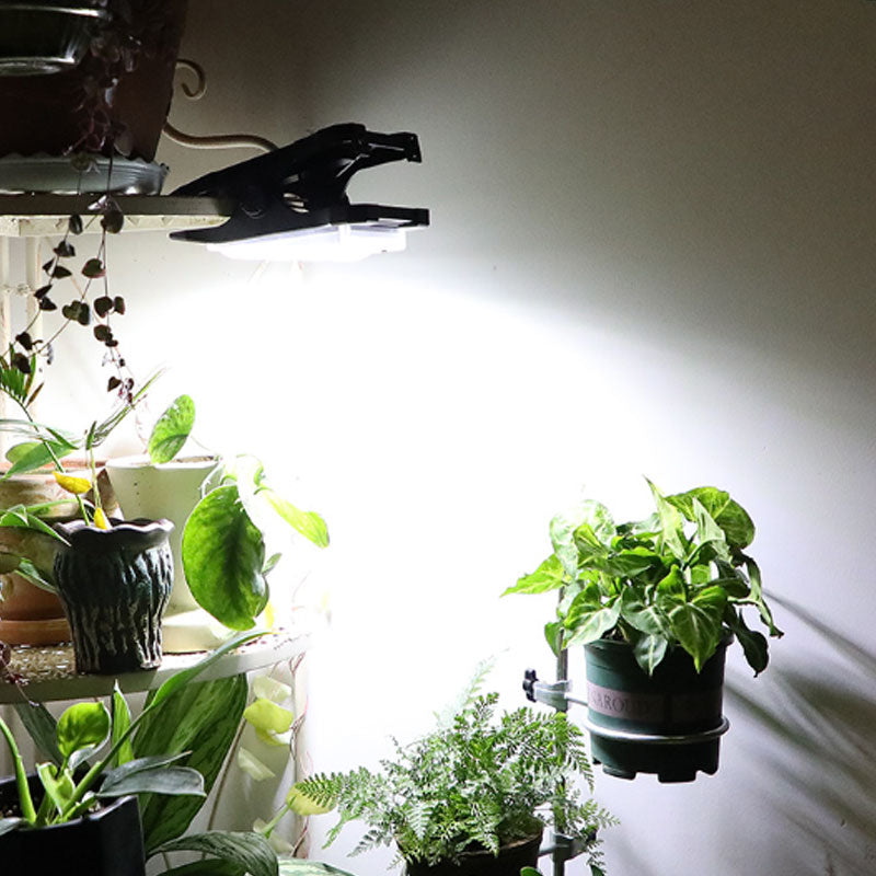 Lampes solaires d'extrieur pince avec dtecteur de mouvement