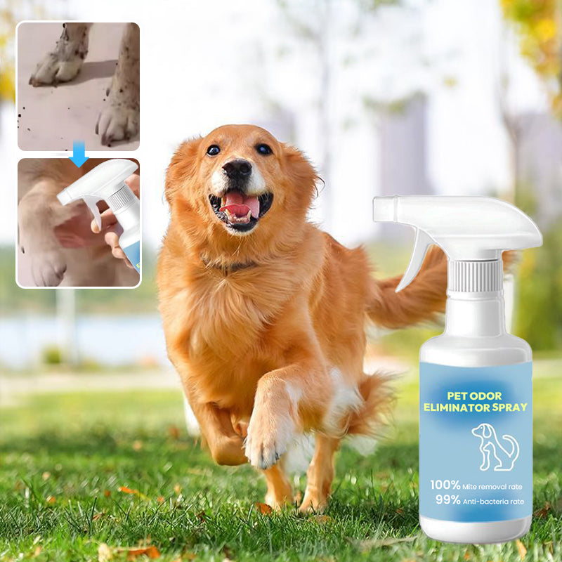 Spray dsodorisant pour animaux domestiques