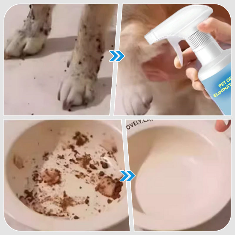 Spray dsodorisant pour animaux domestiques
