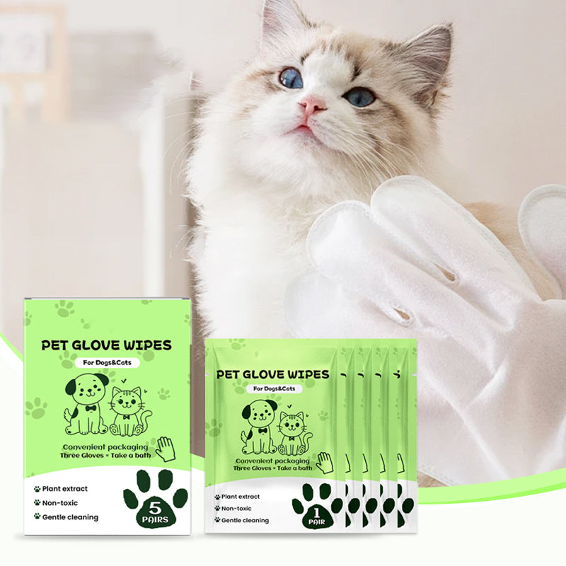 Gants de nettoyage sans rin?age pour animaux de compagnie