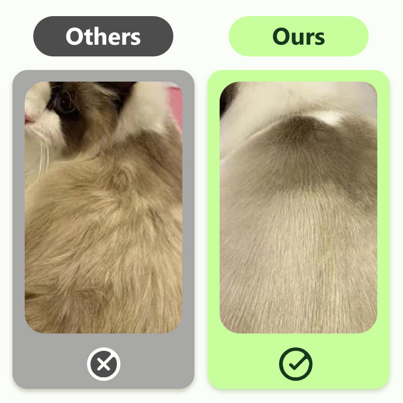 Gants de nettoyage sans rin?age pour animaux de compagnie