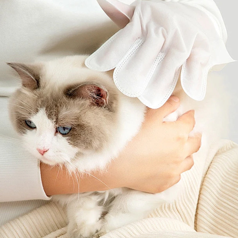 Gants de nettoyage sans rin?age pour animaux de compagnie