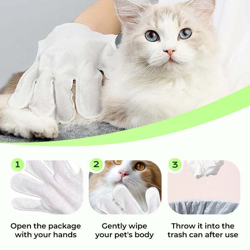 Gants de nettoyage sans rin?age pour animaux de compagnie