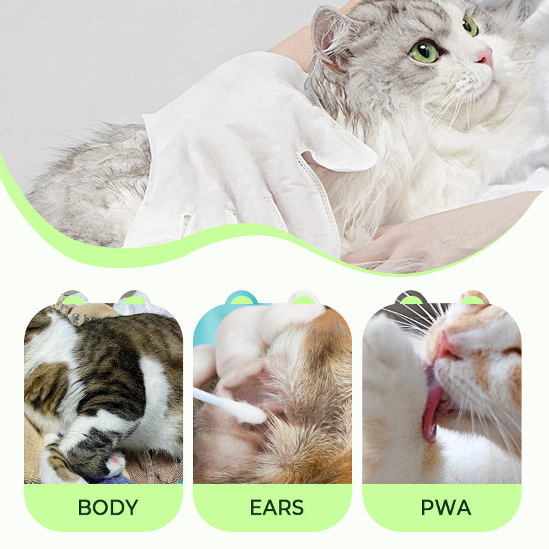 Gants de nettoyage sans rin?age pour animaux de compagnie