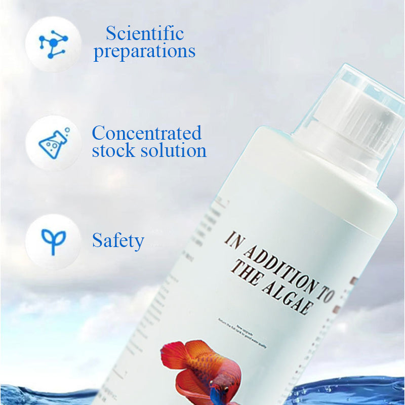 Algicide efficace pour aquarium