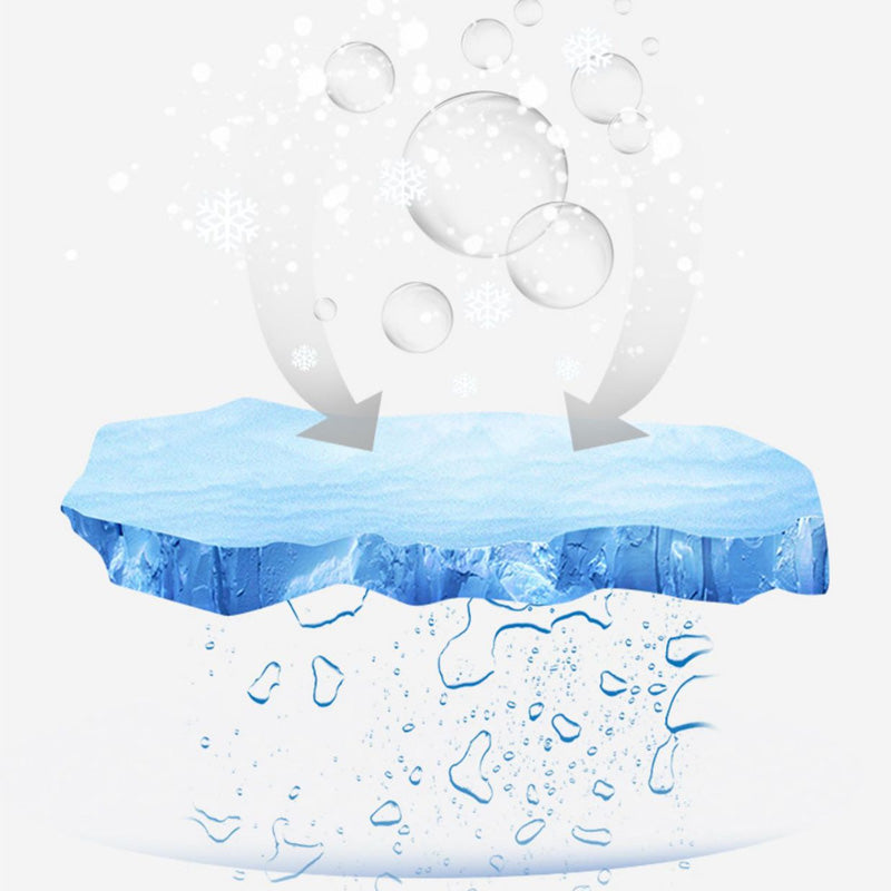 Offre spciale t Spray dgivrant pour rfrigrateur (Grattoir gratuit inclus)