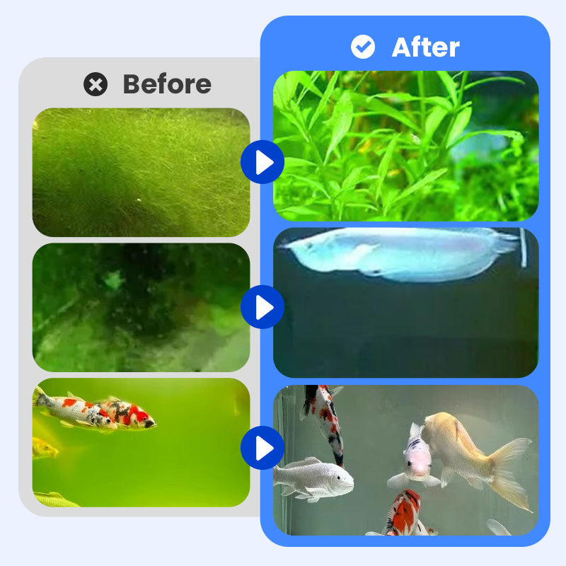 Kaufen Sie 3 und erhalten Sie 2 gratis! Leistungsstarker Aquarien-Wasserklärer