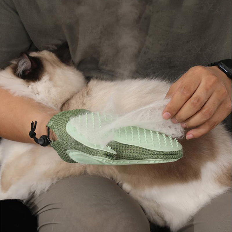 Gants de toilettage pour chiens et chats avec spray intgr