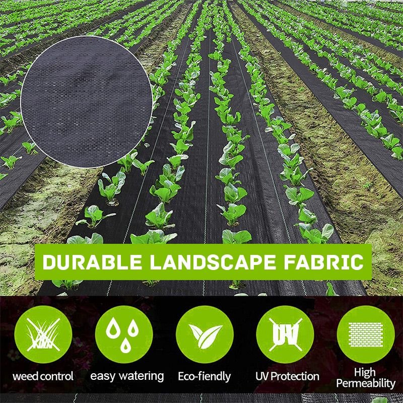 Nouveaut 2025 Toile anti-mauvaises herbes biodgradable