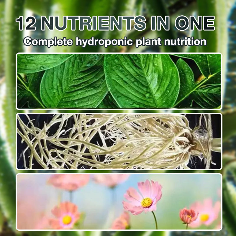 Hydroponische Pflanzennährlösung