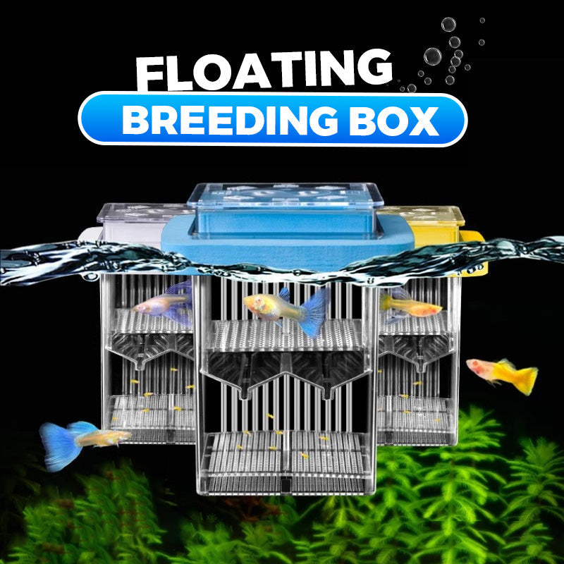 Clair moiti prix Aquarium d'closerie en acrylique 4 couches Systme de protection pour lever vos alevins en toute scurit