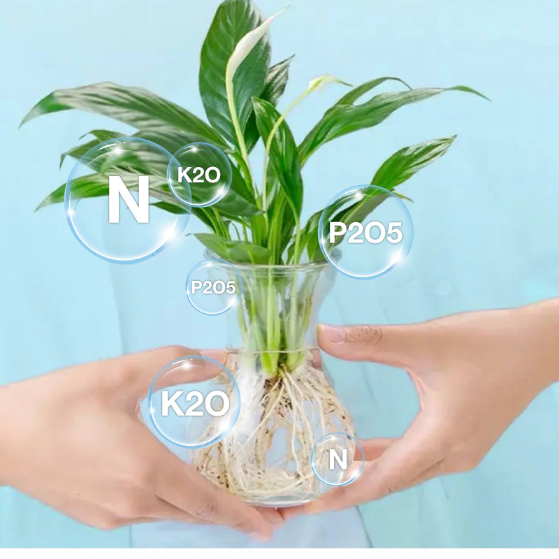 Hydroponische Nährlösung für Pflanzenwachstum