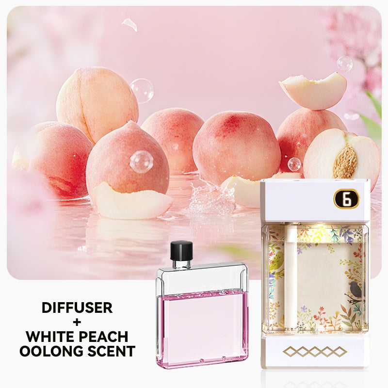 Diffuseur d'aromathrapie rechargeable par USB