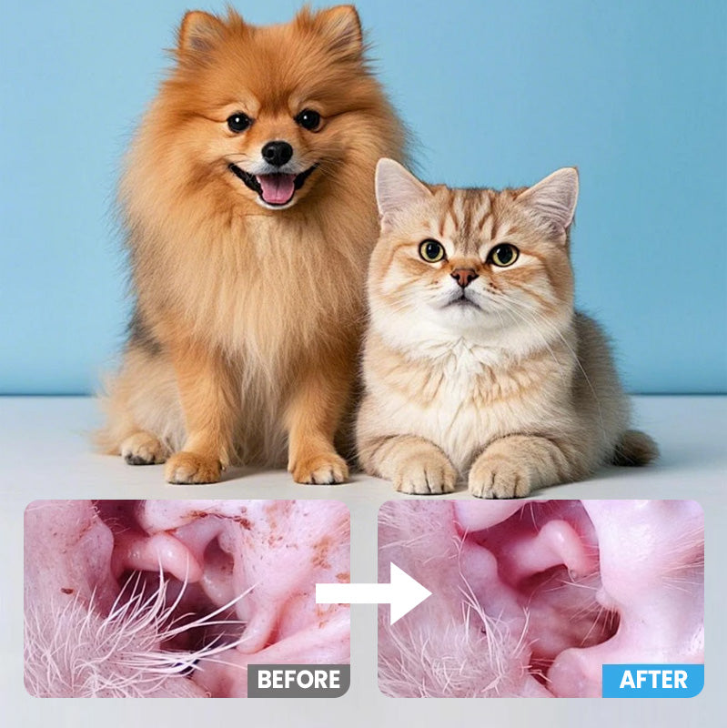 Lingettes nettoyantes pour chiens et chats