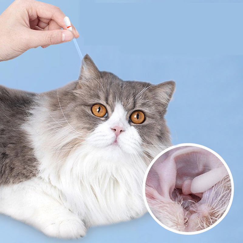Lingettes nettoyantes pour chiens et chats